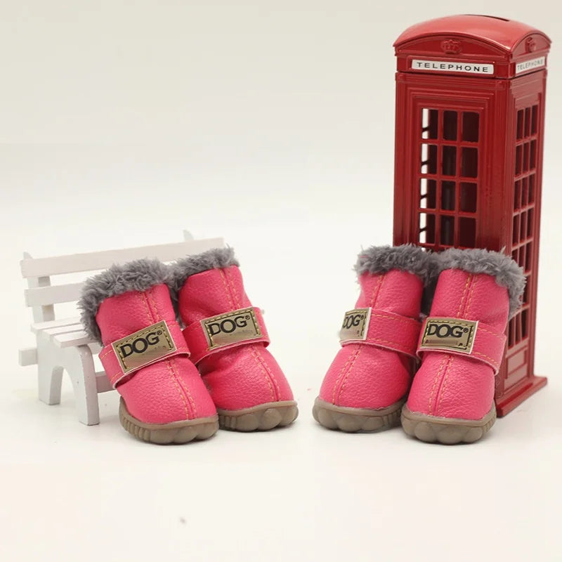 "PAW"GG Boots