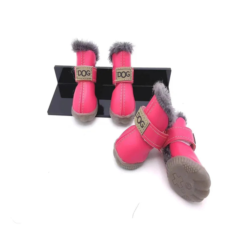 "PAW"GG Boots